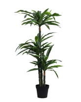 Artificial Dracaena Fragrans Tree 150cm (5ft)
